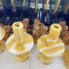 chan den dangoc hoang long 1