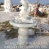 dai phun nuoc ca chep hoa rong da trang 1