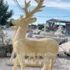 tuong huou da ca rot 3