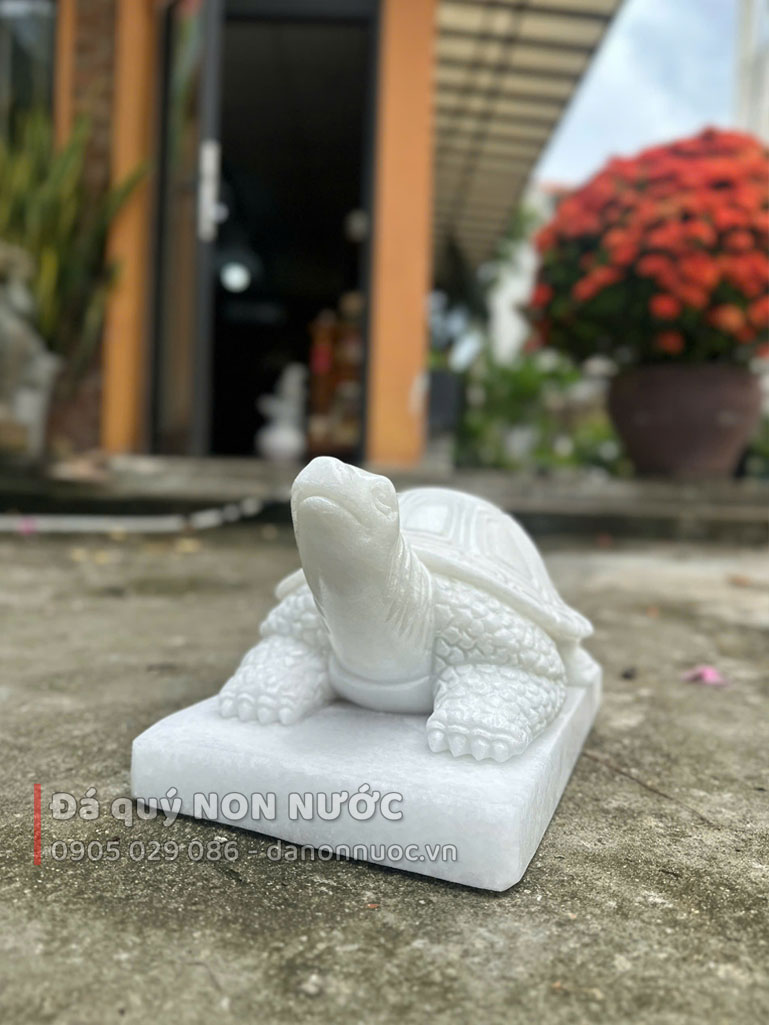 tuong-rua-6 tuong rua 6